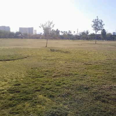 Dog Park at Molasky Family Park photo 1